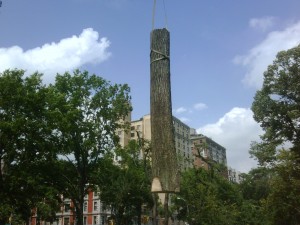 crane-2