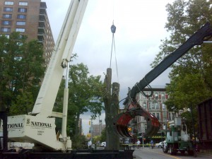 crane