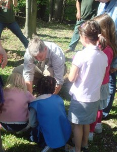 eastchester planting
