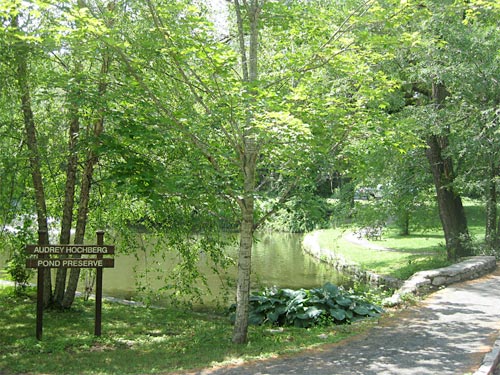 scarsdale library pond