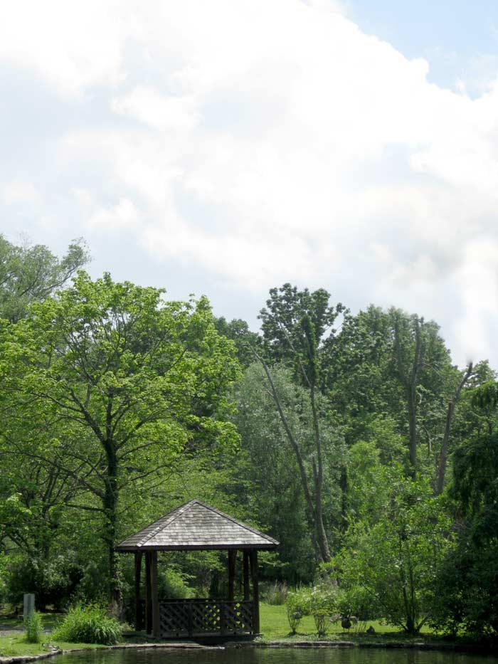 scarsdale library pond