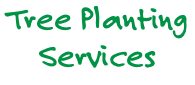 Tree Planting Services